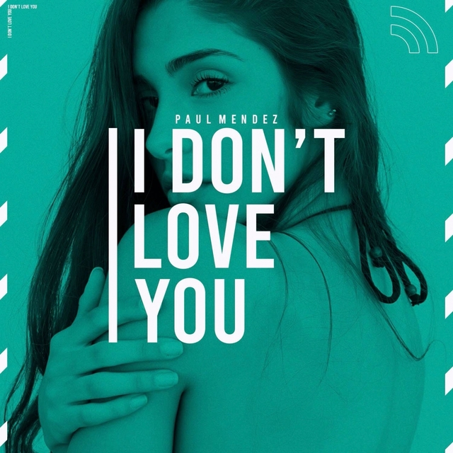 Couverture de I Don't Love You