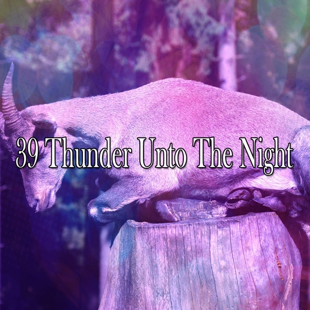 39 Thunder Unto the Night