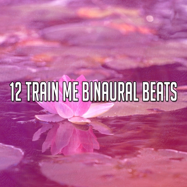 12 Train Me Binaural Beats