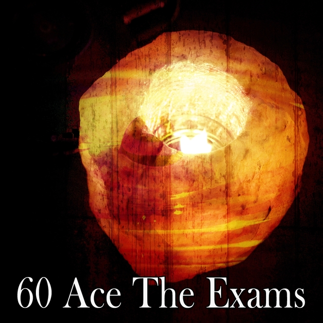 60 Ace the Exams