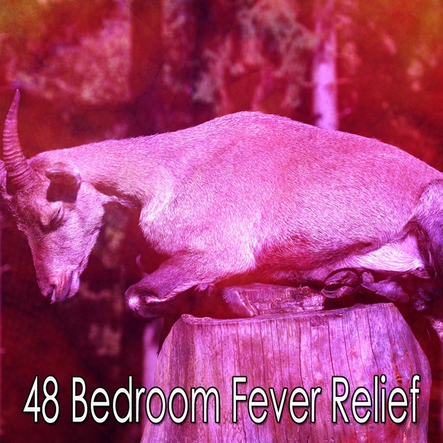 48 Bedroom Fever Relief