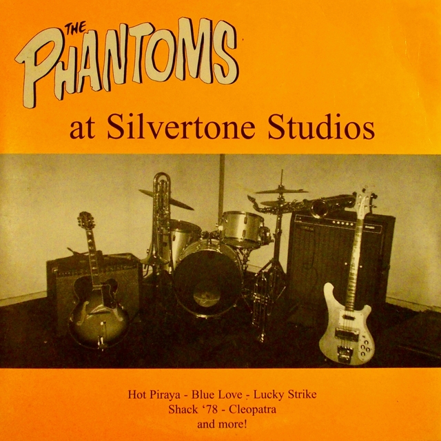 Couverture de Live at Silvertone