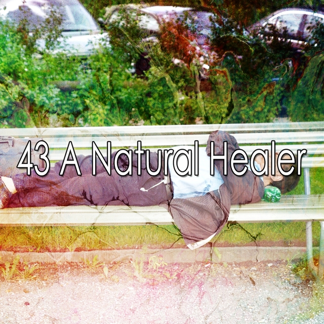 43 A Natural Healer