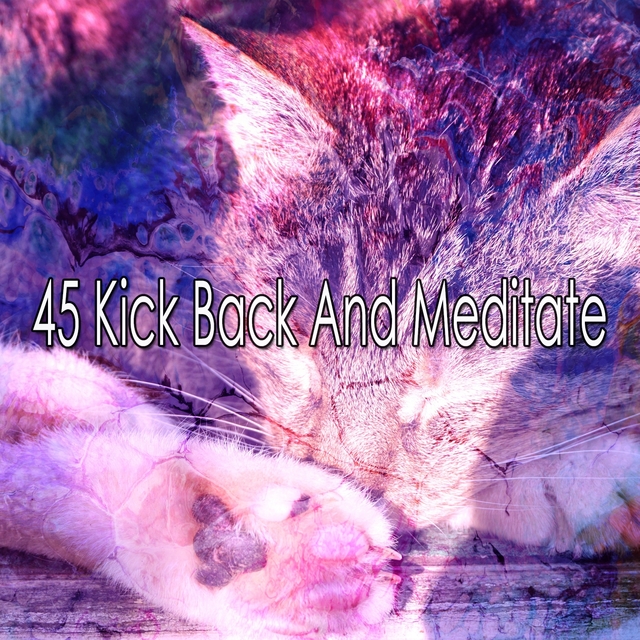 Couverture de 45 Kick Back and Meditate