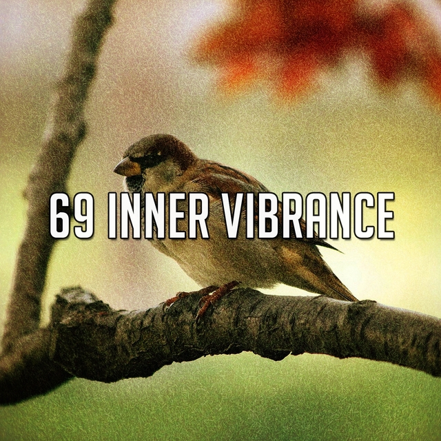 Couverture de 69 Inner Vibrance