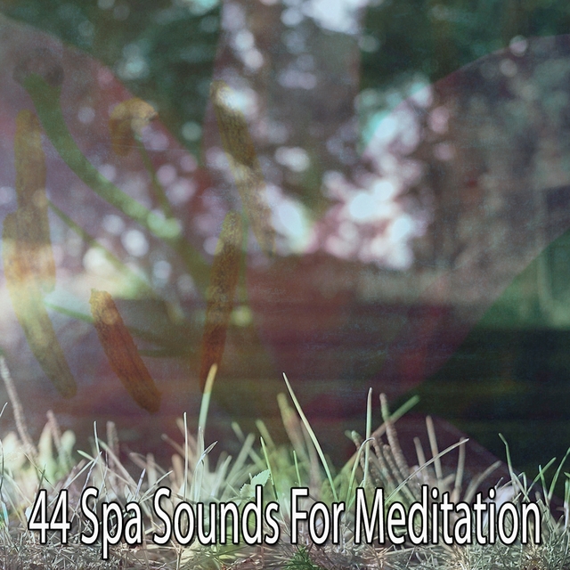 Couverture de 44 Spa Sounds for Meditation