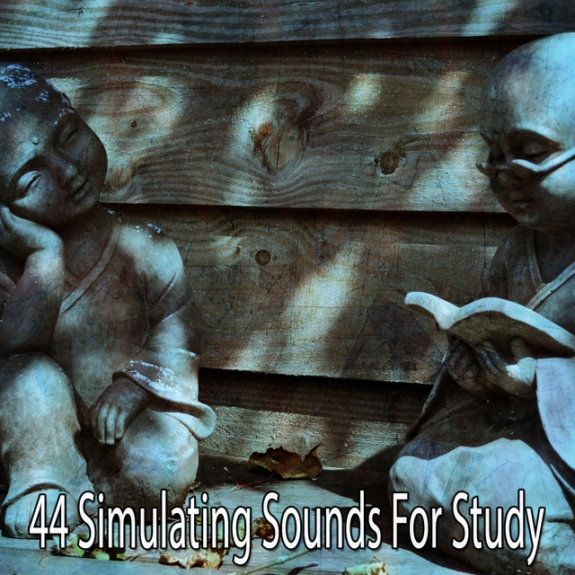 44 Simulating Sounds for Study