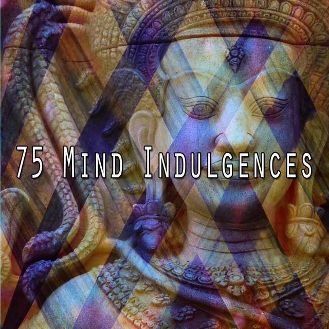 Couverture de 75 Mind Indulgences