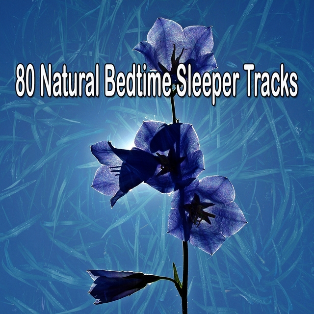 Couverture de 80 Natural Bedtime Sleeper Tracks