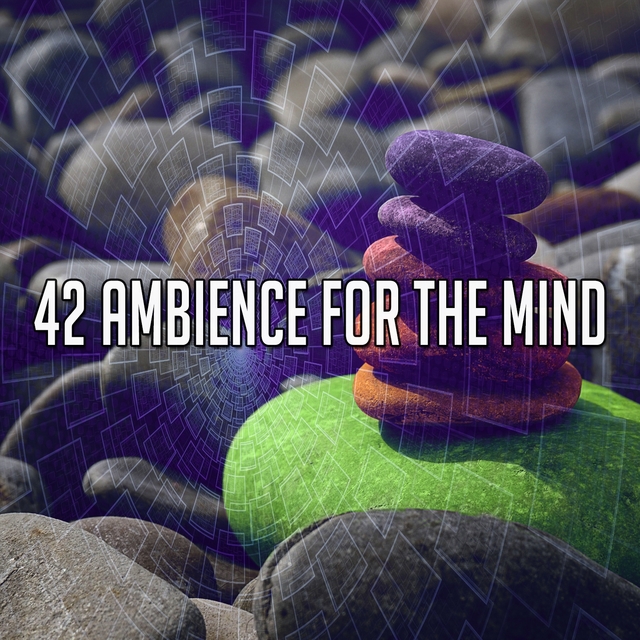 42 Ambience for the Mind