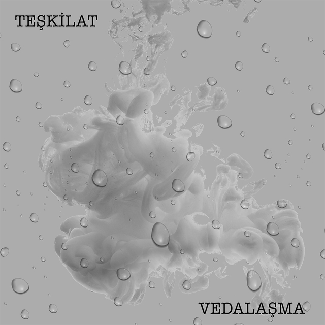 Couverture de Vedalaşma