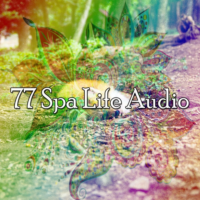 77 Spa Life Audio