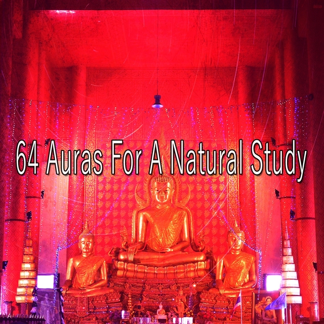 64 Auras for a Natural Study