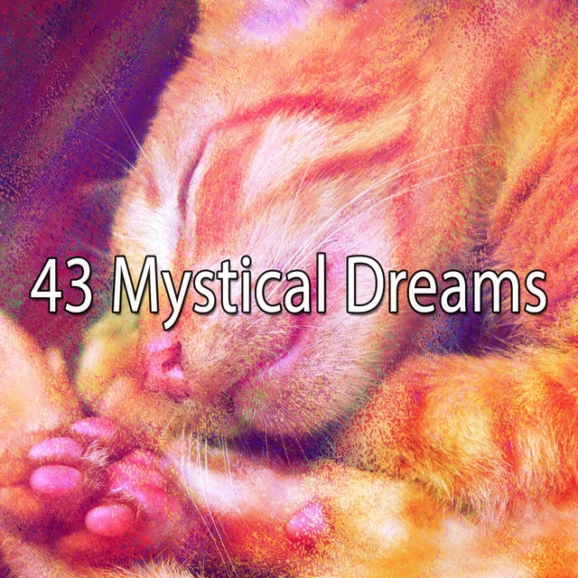 Couverture de 43 Mystical Dreams