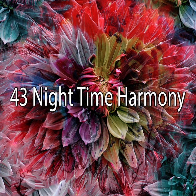 43 Night Time Harmony