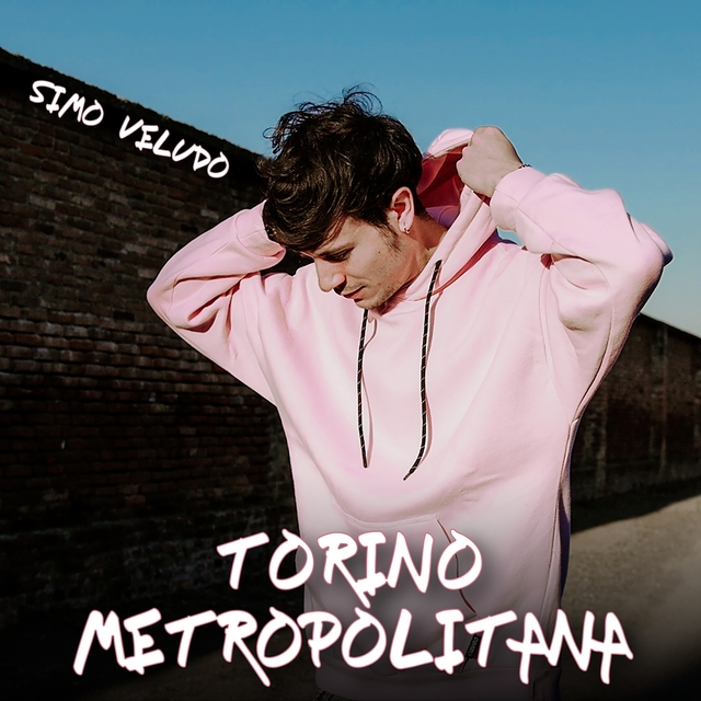 Couverture de Torino Metropolitana