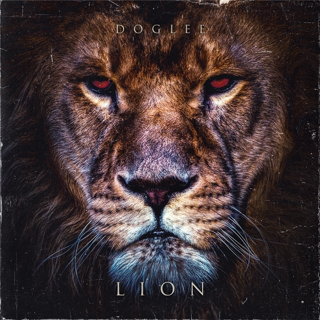 Couverture de Lion