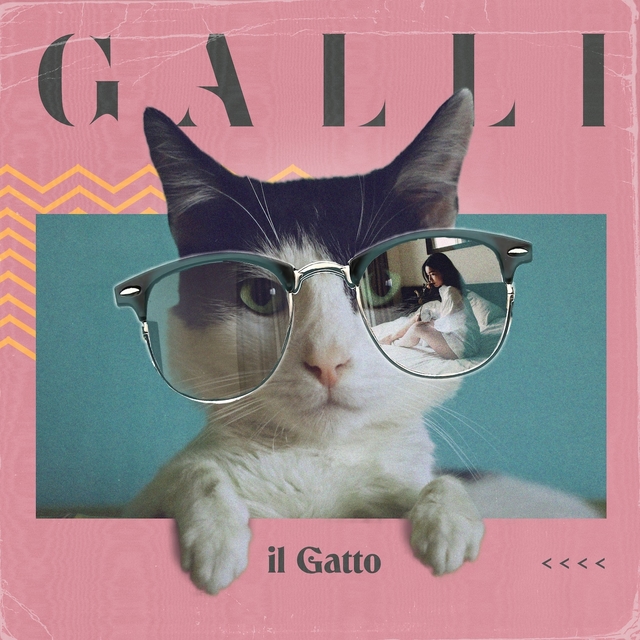 Couverture de Il gatto