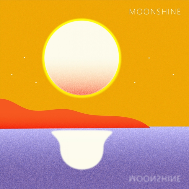 Couverture de Moonshine