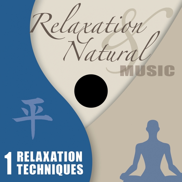 Couverture de Relaxation Techniques