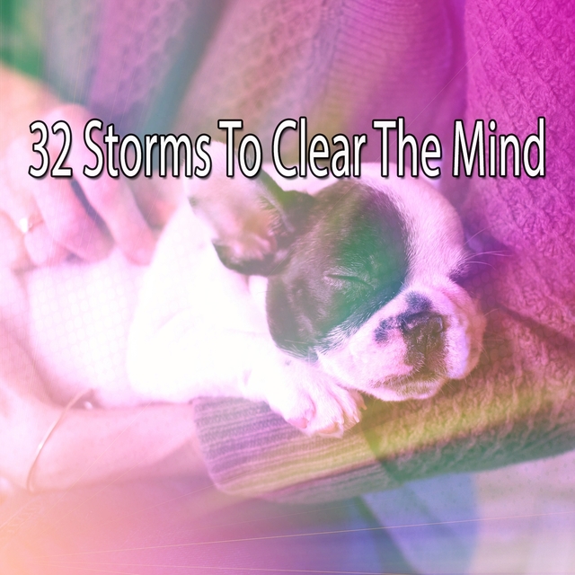 Couverture de 32 Storms to Clear the Mind