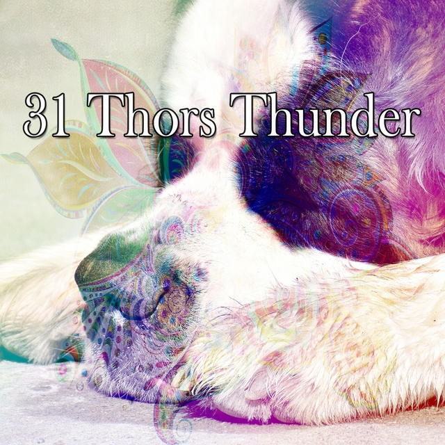 Couverture de 31 Thors Thunder