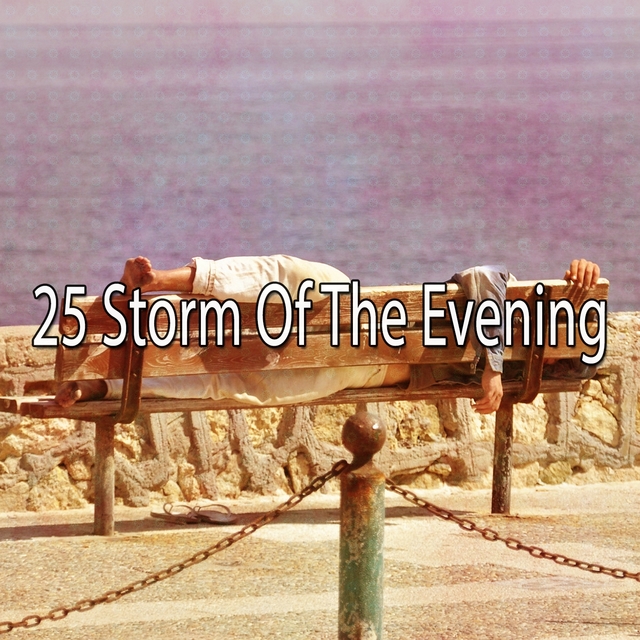 Couverture de 25 Storm of the Evening