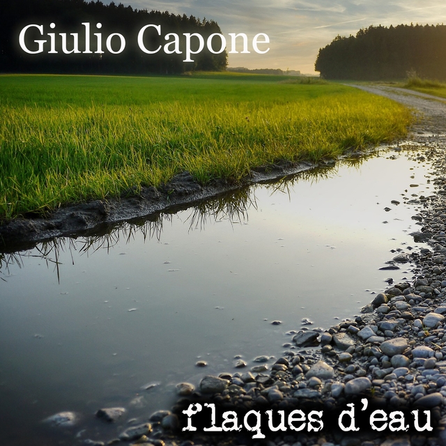 Flaques d'eau