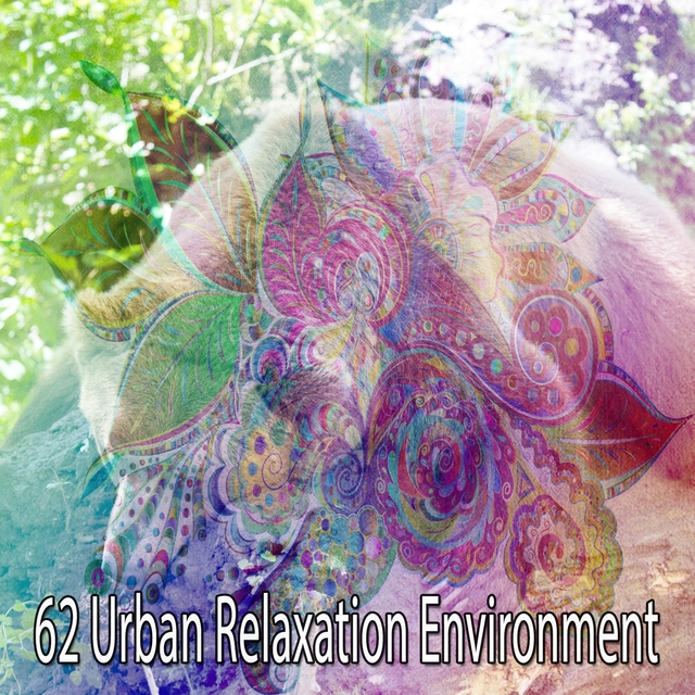 Couverture de 62 Urban Relaxation Environment