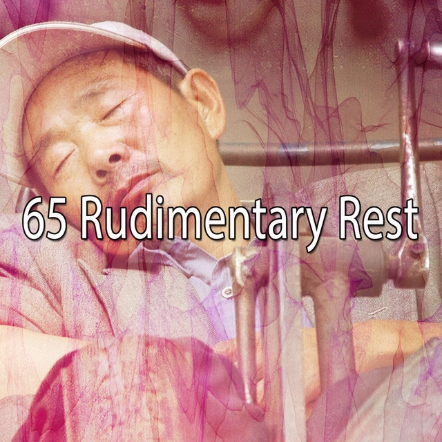 Couverture de 65 Rudimentary Rest