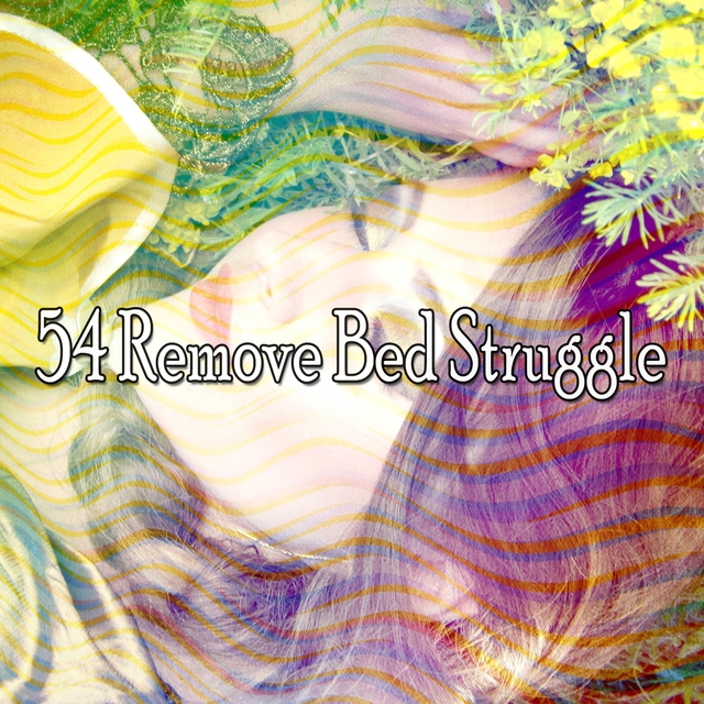 Couverture de 54 Remove Bed Struggle