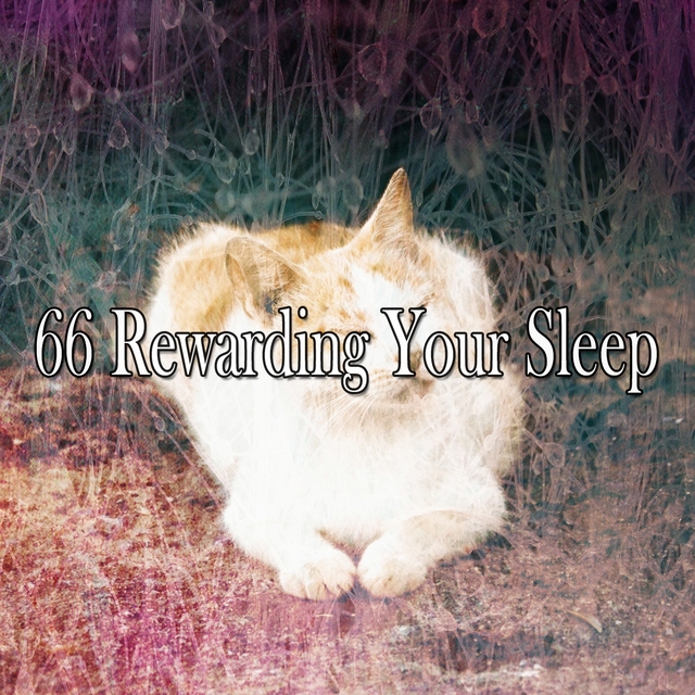 Couverture de 66 Rewarding Your Sle - EP