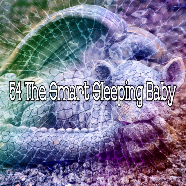 54 The Smart Sleeping Baby