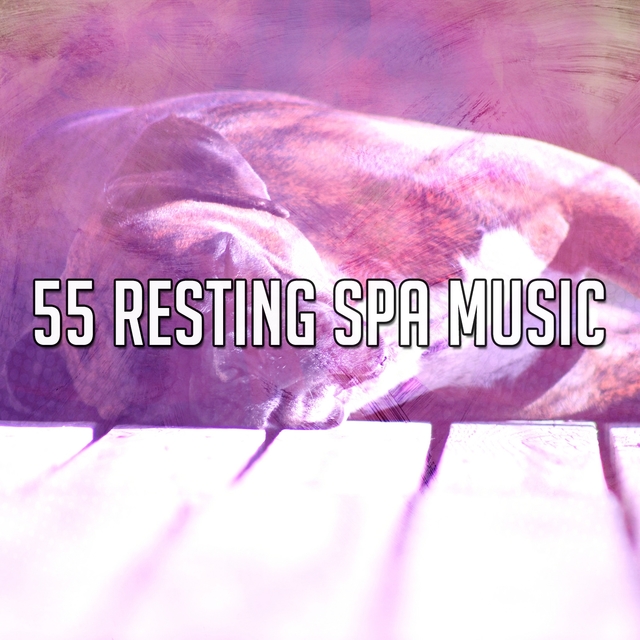 Couverture de 55 Resting Spa Music