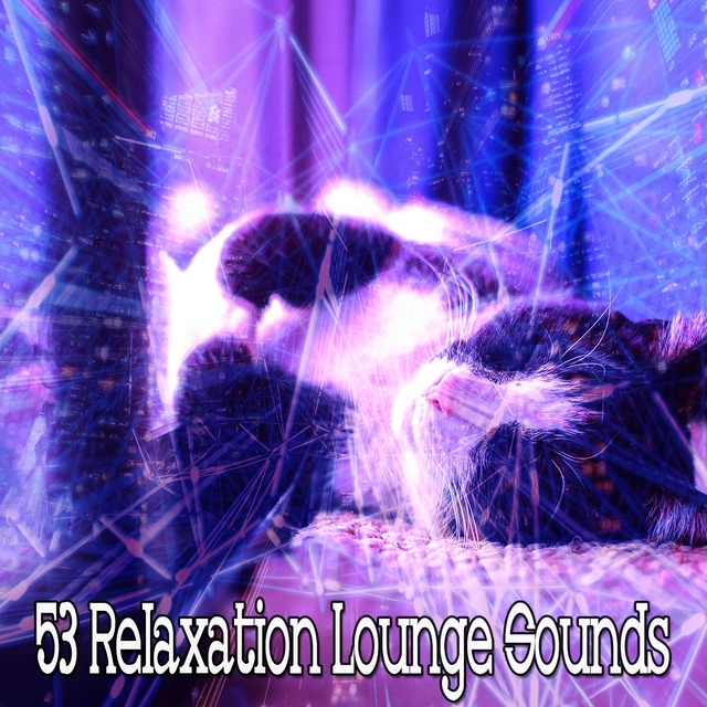 Couverture de 53 Relaxation Lounge Sounds