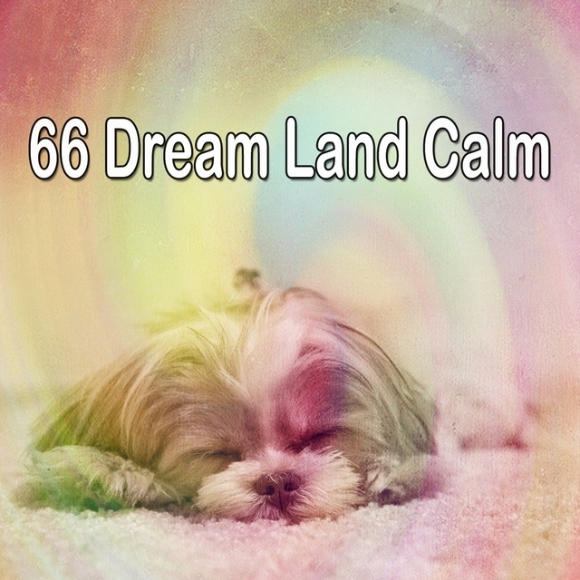 66 Dream Land Calm