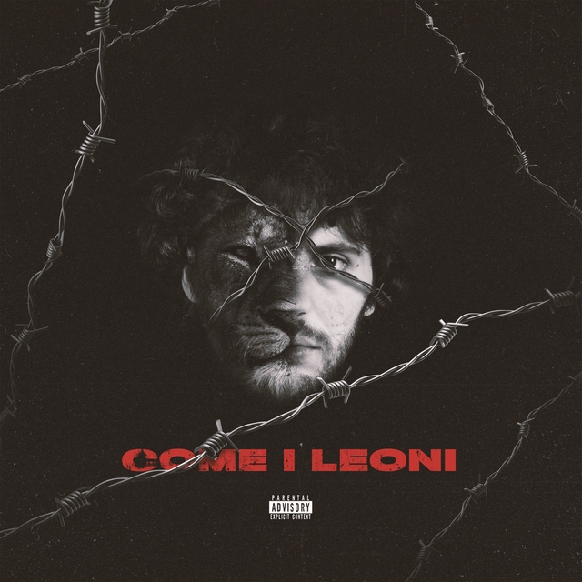 Couverture de Come i leoni