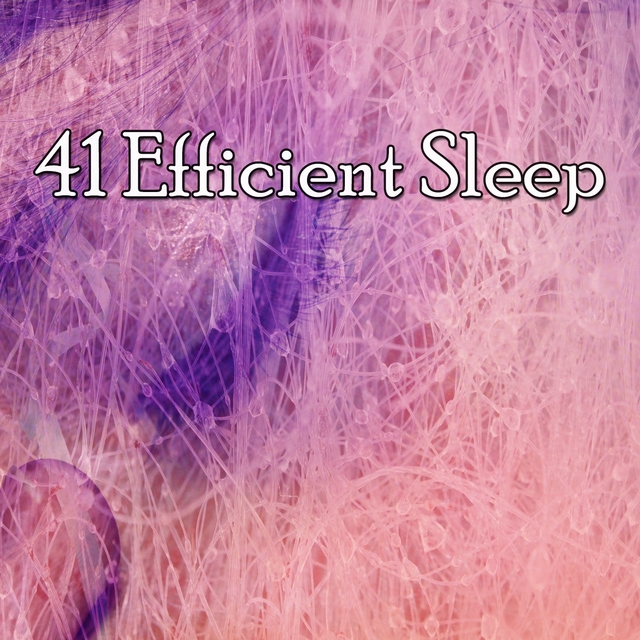 41 Efficient Sle - EP