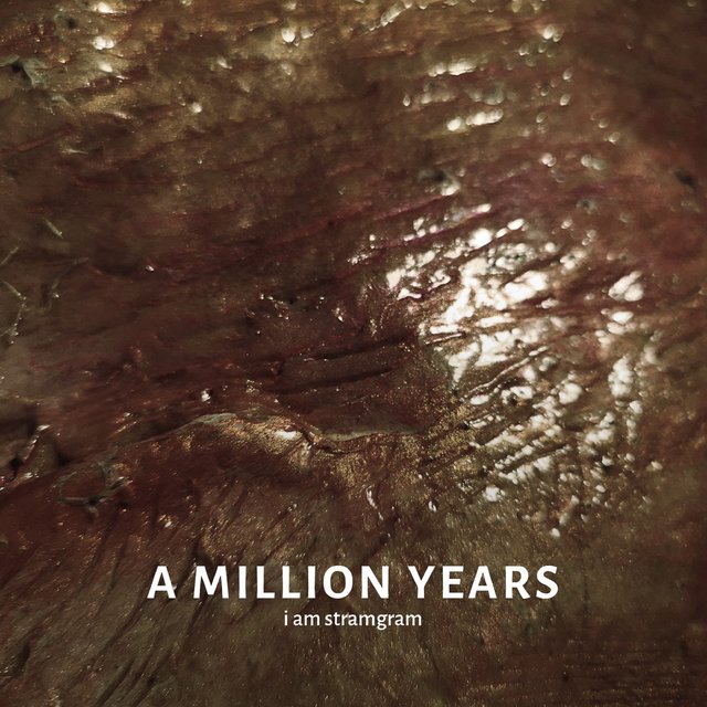 Couverture de A Million Years