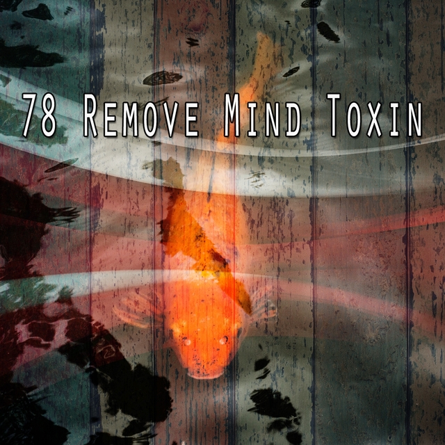 78 Remove Mind Toxin