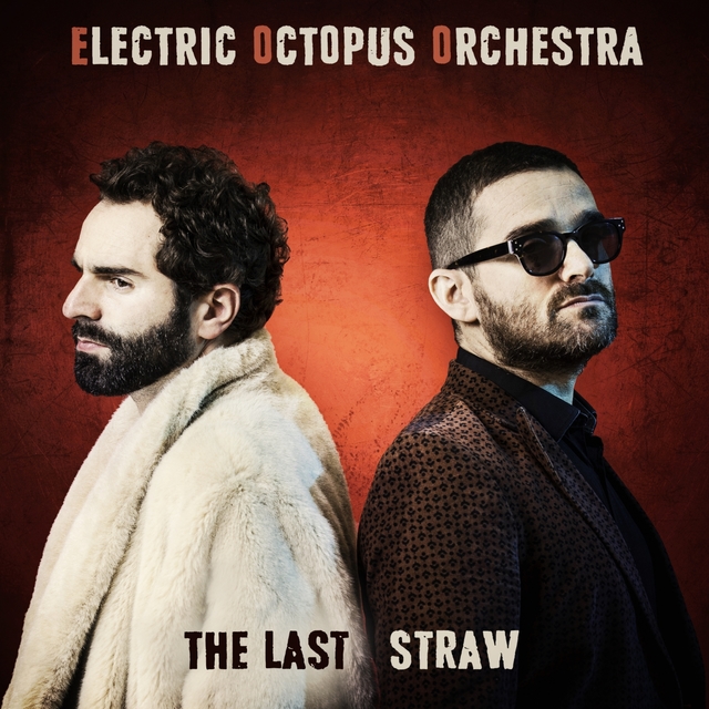 Couverture de The Last Straw