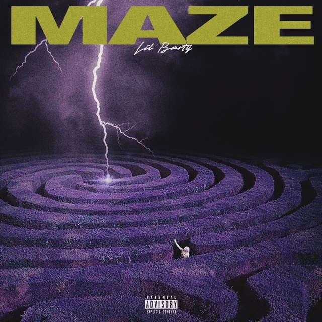 Couverture de Maze