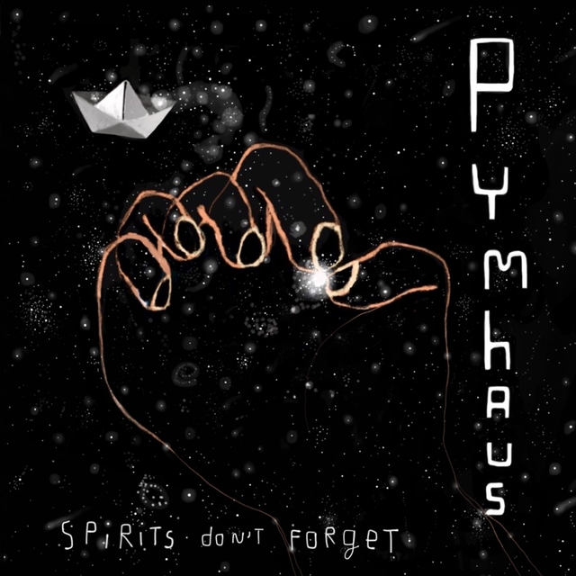 Couverture de Spirits don't Forget