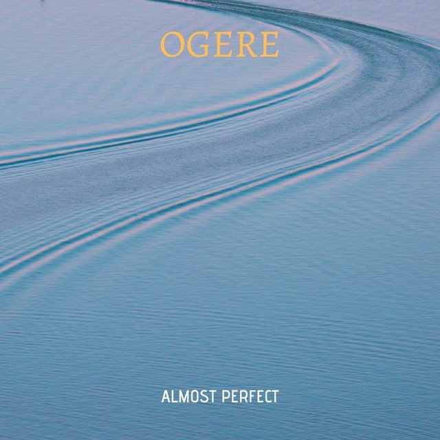 Couverture de Almost Perfect