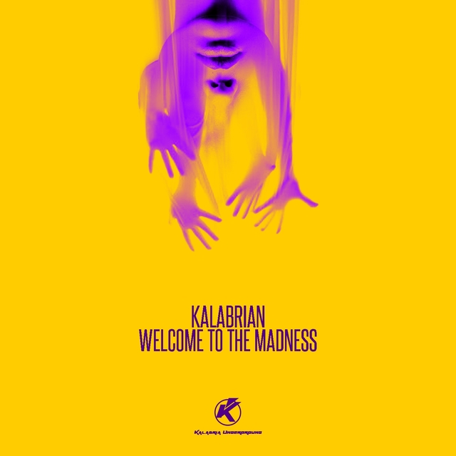 Couverture de Welcome to the madness