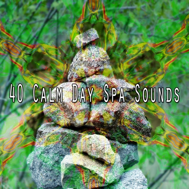 40 Calm Day Spa Sounds