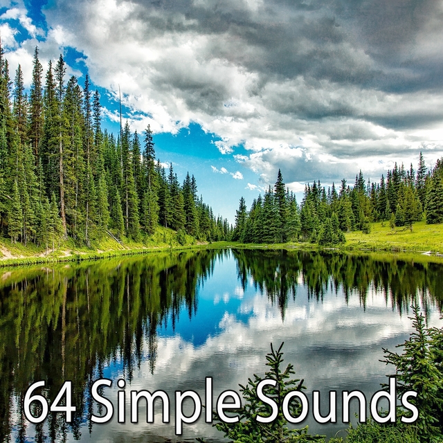 64 Simple Sounds