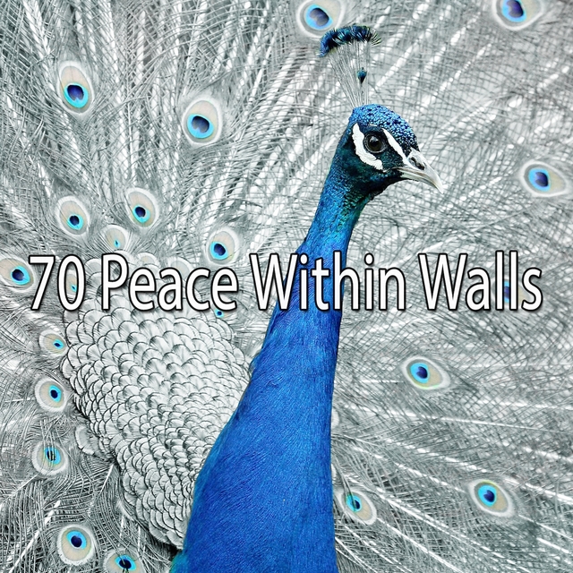 70 Peace Within Walls