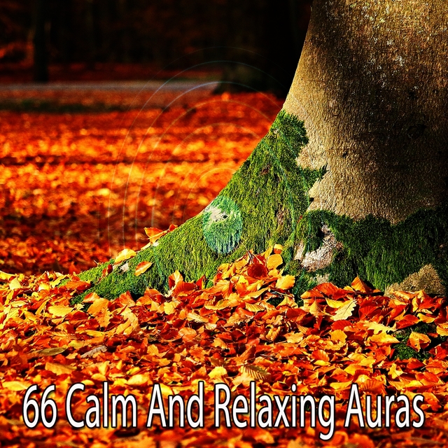 Couverture de 66 Calm and Relaxing Auras