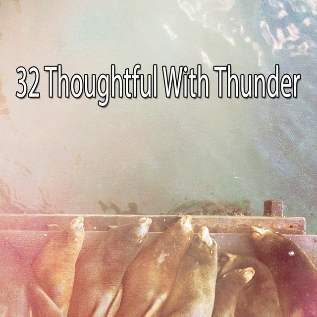 32 Thoughtful with Thunder